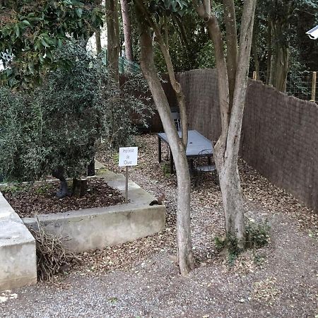 Au Vieux Lavoir Avec Parking Prive, Jardin , Climatisation, A 500 M De La Cite Carcassonne Dış mekan fotoğraf