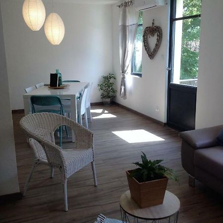 Au Vieux Lavoir Avec Parking Prive, Jardin , Climatisation, A 500 M De La Cite Carcassonne Dış mekan fotoğraf