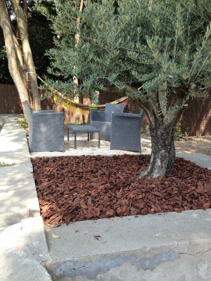 Au Vieux Lavoir Avec Parking Prive, Jardin , Climatisation, A 500 M De La Cite Carcassonne Dış mekan fotoğraf