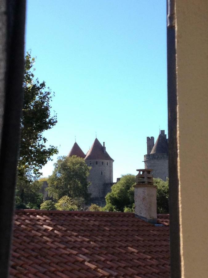 Au Vieux Lavoir Avec Parking Prive, Jardin , Climatisation, A 500 M De La Cite Carcassonne Dış mekan fotoğraf