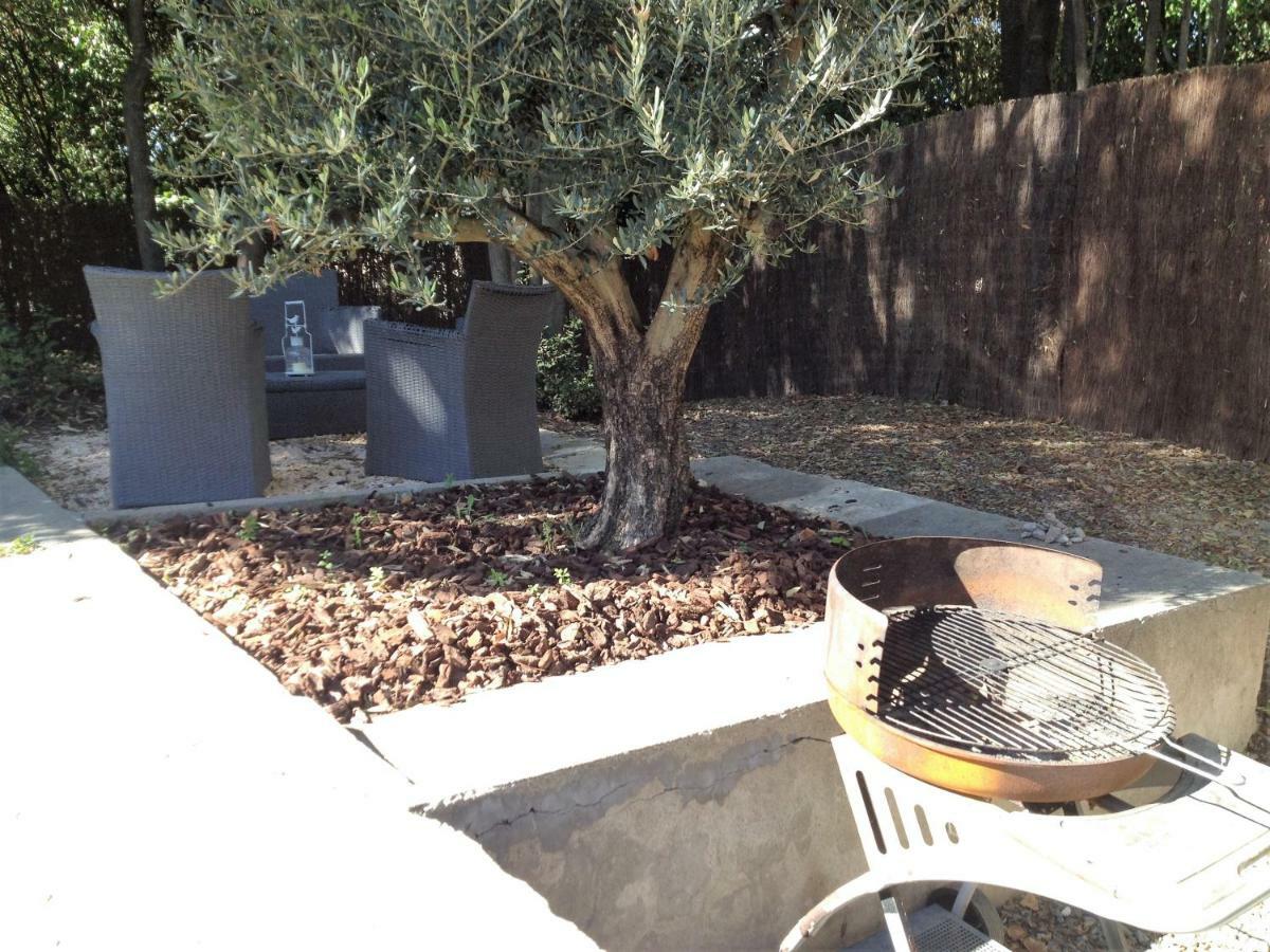 Au Vieux Lavoir Avec Parking Prive, Jardin , Climatisation, A 500 M De La Cite Carcassonne Dış mekan fotoğraf