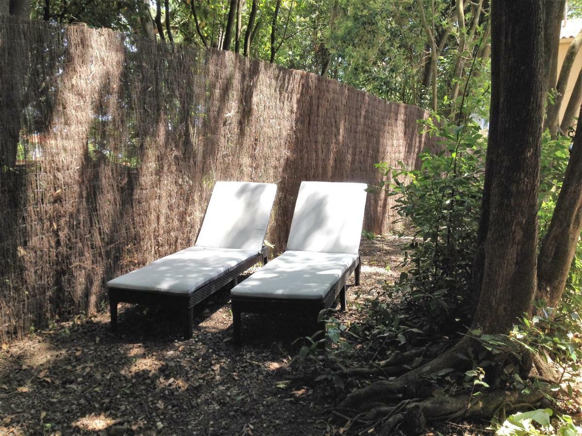 Au Vieux Lavoir Avec Parking Prive, Jardin , Climatisation, A 500 M De La Cite Carcassonne Dış mekan fotoğraf