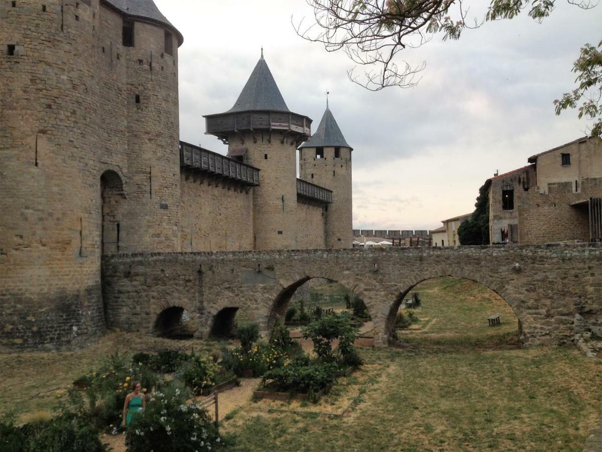 Au Vieux Lavoir Avec Parking Prive, Jardin , Climatisation, A 500 M De La Cite Carcassonne Dış mekan fotoğraf